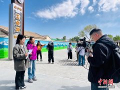 柴达木戈壁“生命树”出圈 IP赋能引“流”增“留”