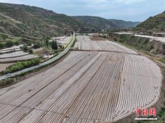 甘肃环县黄土坡地“细水长流”渐别靠天吃饭